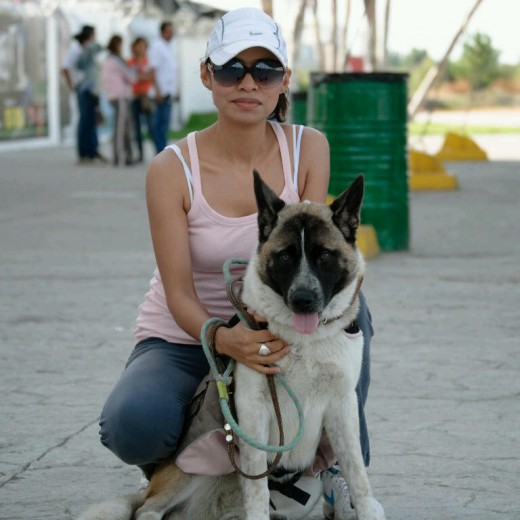 Perrotón 2011 Perrotón 2011